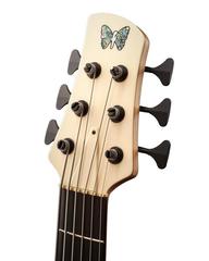 Holly Headstock